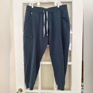 FIGS Zamora Jogger Scrub‎ Pants Medium Blue XL Petite – Technical Collection